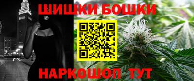 дурь Сланцы