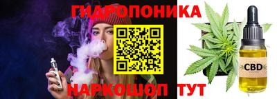 дурь Сланцы