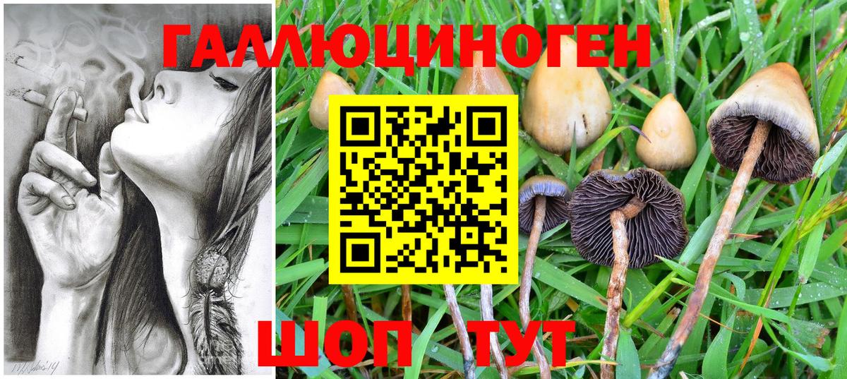 Осинники  Псилоцибиновые грибы GOLDEN TEACHER  Вход с VPN 